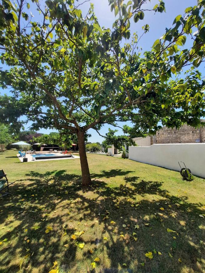 Gite 4 Personnes Avec Piscine Entre Saintes Et Royan Balanzac Екстер'єр фото