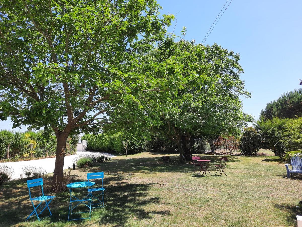 Gite 4 Personnes Avec Piscine Entre Saintes Et Royan Balanzac Екстер'єр фото